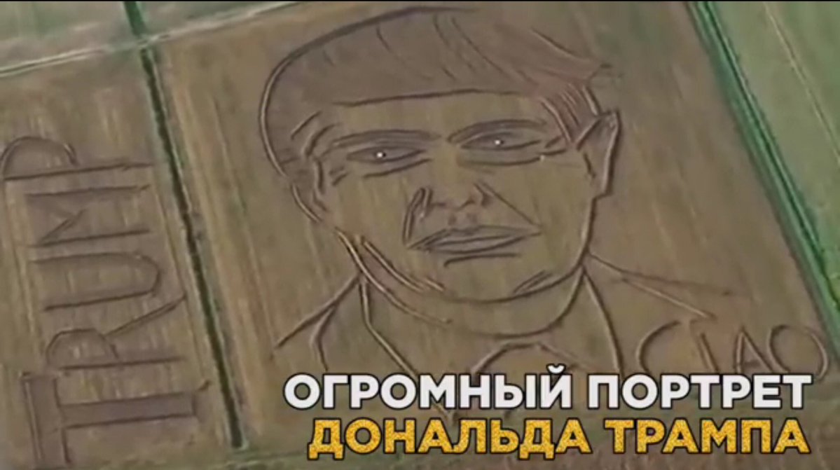 Дональд Трамп, Владимир Путин, пользователи, соцсети, фермер, трактор, поле, портрет
