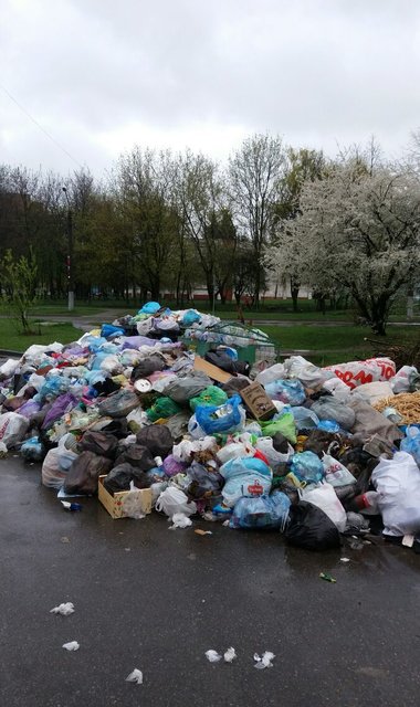 львовский мусор, вывоз мусора, мусор на улицах, Львов, Львовская ОГА