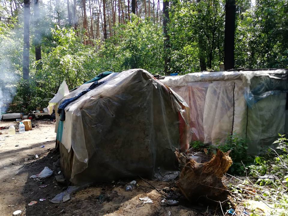 цигани в Голосіївському парку, роми, рубають ліс