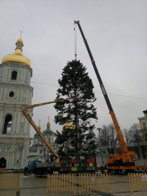 Елка, елка в Киеве, новогодняя елка, новый год в Киеве