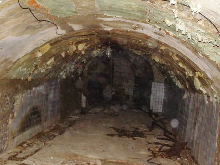 В Ужгороде местный житель наткнулся на подземелье с бесконечными подвалами и залами фото 2