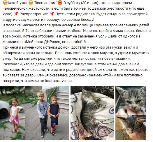 Донбас, окупанти, діти, жорстокість, кошеня, Макіївка