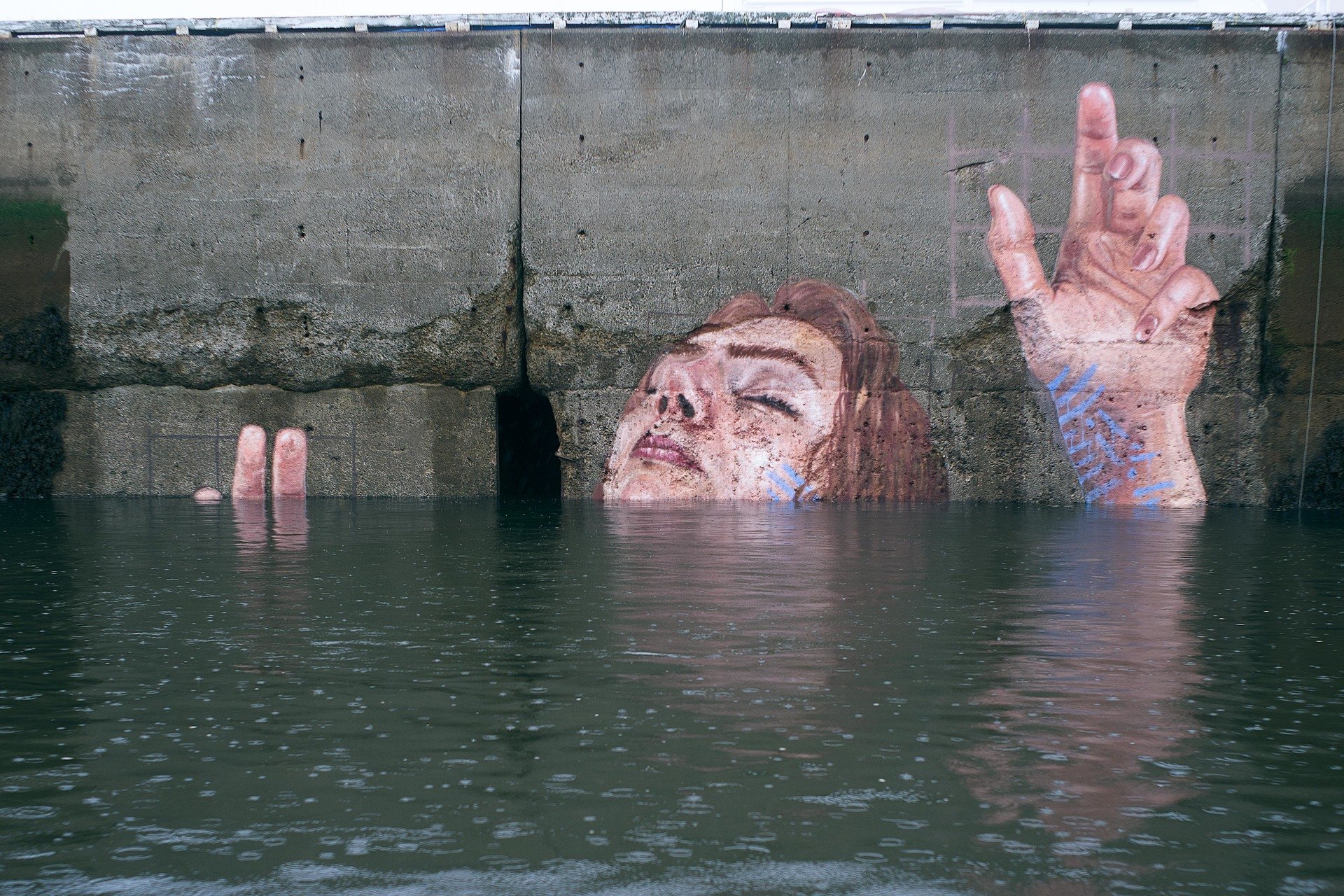 Шон Йоро, Канада, художник, приплив, висота