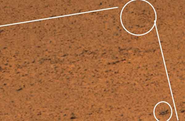 Марс, фото, жива істота