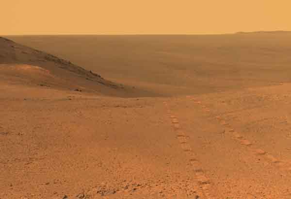 Марс, фото, жива істота