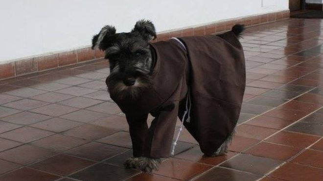 собака стал монахом, Боливия, монастырь, монахи
