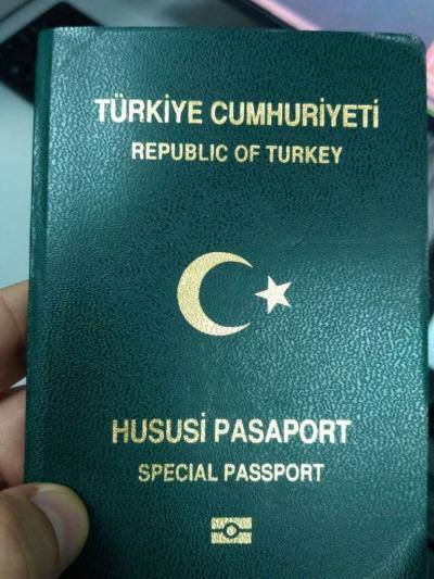 паспорт, Туреччина, Париж, Україна, прикордонники, аеропорт, Бориспіль