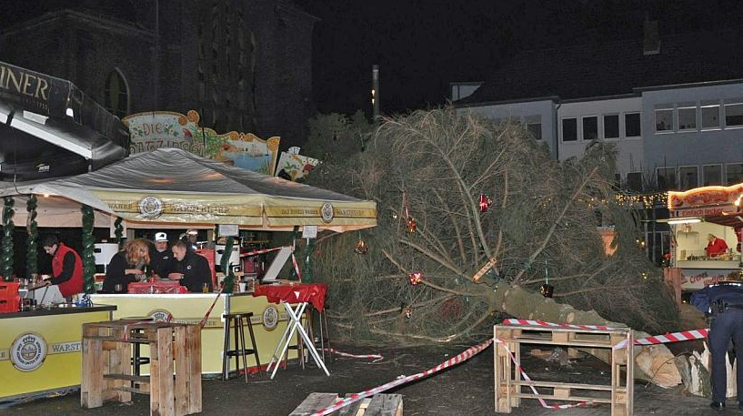 рождественская ель, елка, ярмарка, Германия, упала елка