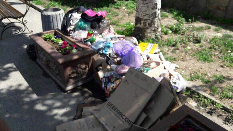 свалка, мусор, пляж, Феодосия, Крым, оккупанты