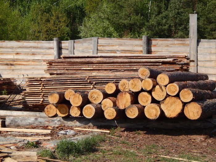 Незаконный экспорт древесины