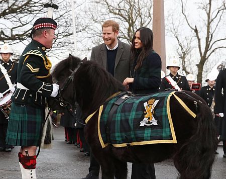 Меган Маркл, шотландія, поні, кінь, укус, принц гаррі, велика британія, британія, королівська сім'я