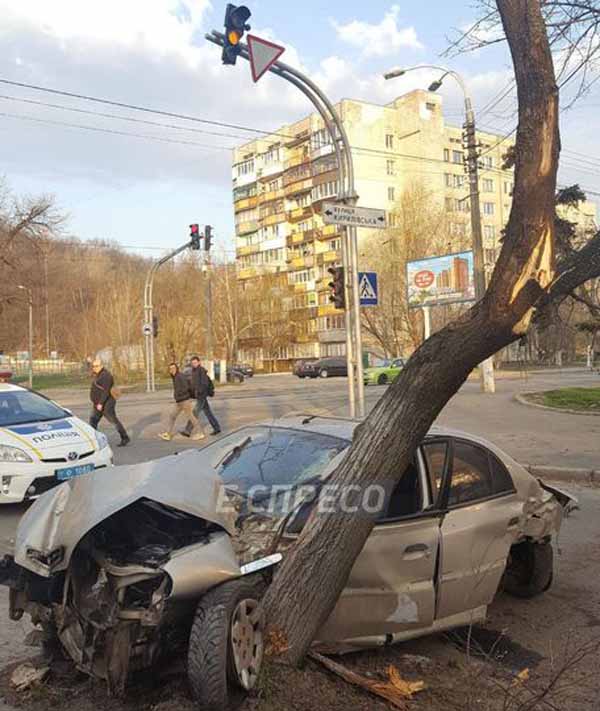 ДТП в Киеве, остановка, дерево, алкоголь