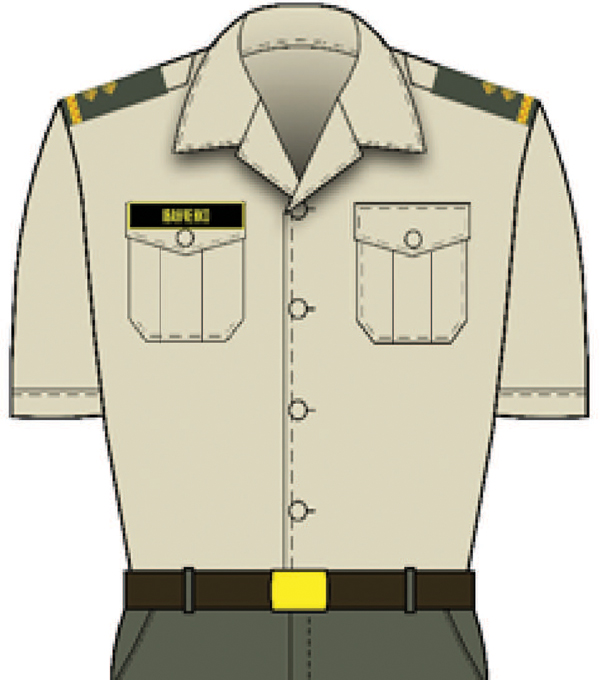 військова форма, одяг, ВСУ, Міноборони, військові, офіцери, рукавички, кітель, мундир, брюки, польова форма