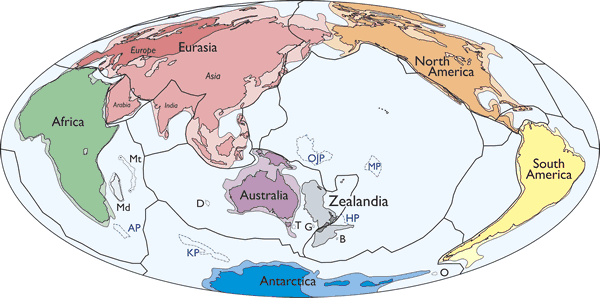 новый континент, материк, Зеаландия, геологи, возле Австралии