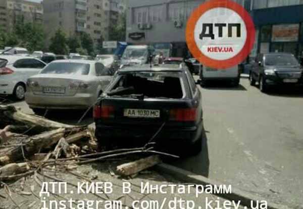 Дерево, автомобиль, девочка, травма