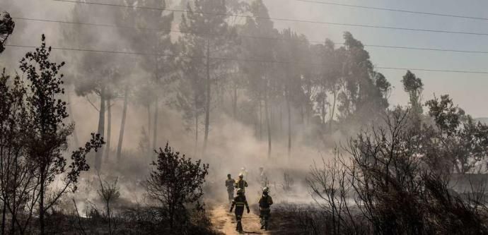 Португалія, Іспанія, лісові пожежі, рятувальники, евакуація
