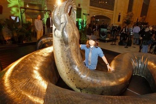 самая большая змея на планете, Титанобоа, монстры