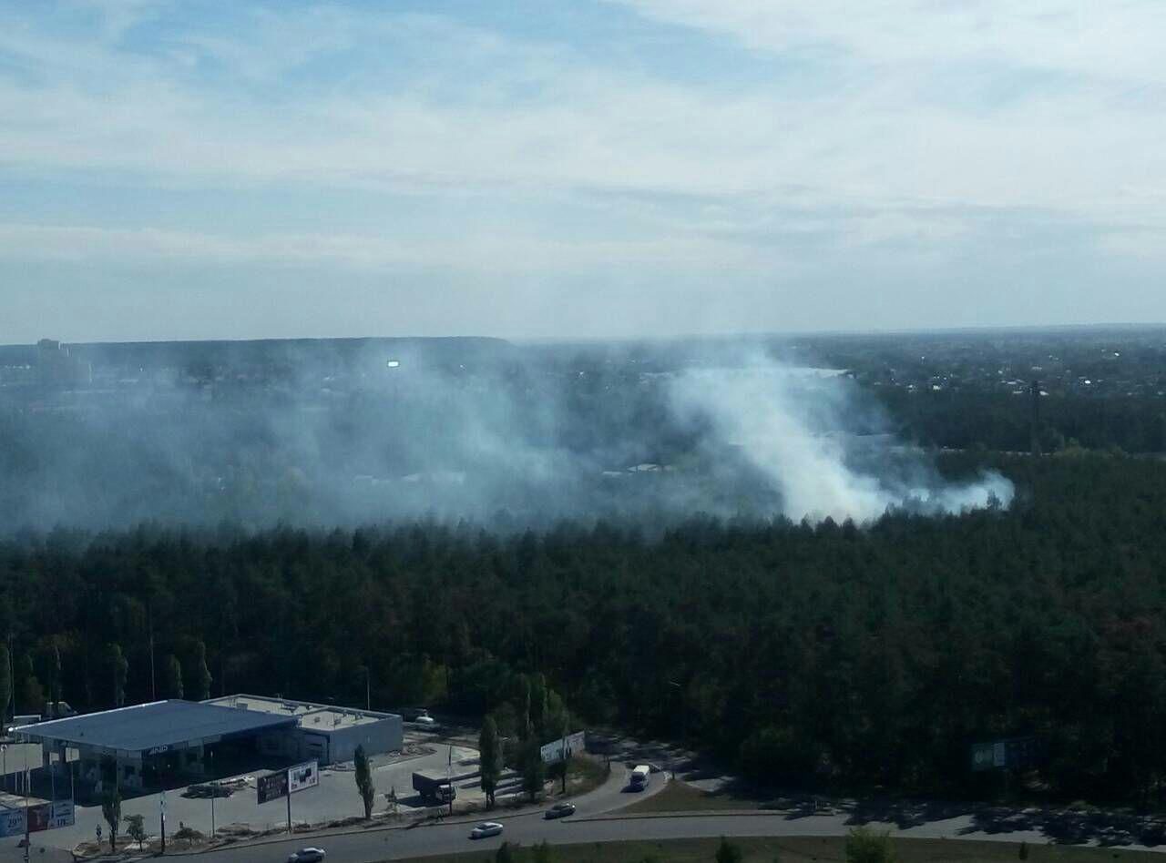 пожар, Киев, Бориспольская, лес