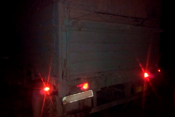 Фантом задержал несколько грузовиков с семенами подсолнечника на миллион гривен