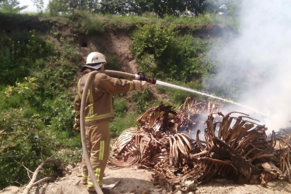 В Киевской области на свалке горели скелеты животных