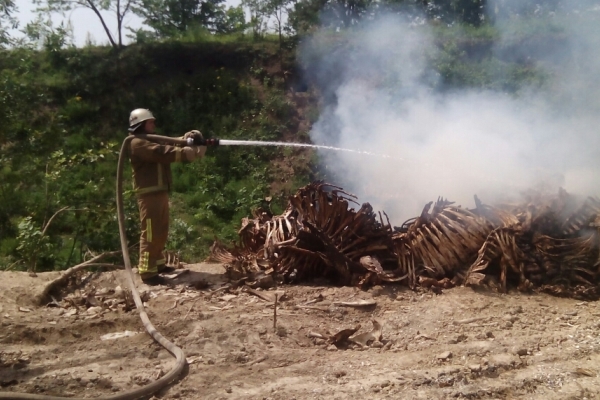 В Киевской области на свалке горели скелеты животных