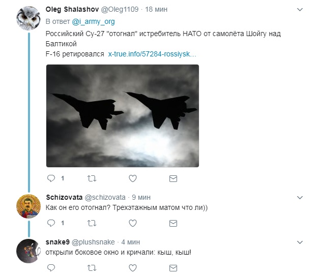 Сергей Шойгу, Россия, истребитель, НАТО, Су-27, самолет, США, Калининград, реакция соцсетей