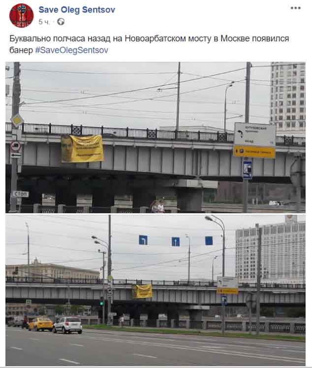Свободу Сенцову, баннер в Москве