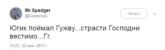 Игорь Гужва, Страна.ua, журналист, соцсеты, Оппоблок, елена лукаш, Юрий Луценко, прокуратура, взятка