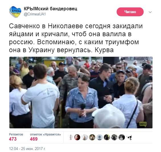 Надія Савченко, блогер, користувачі, соцмережі, Миколаїв, яйця, нардеп, політик