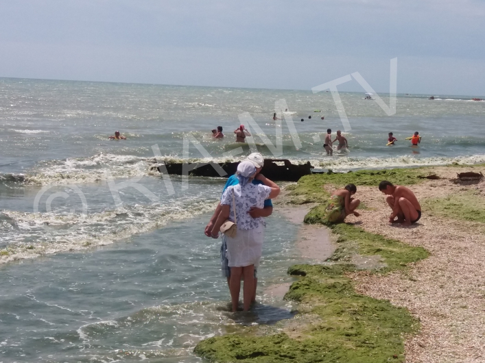 Азовське море, узбережжя, водорості, сміття