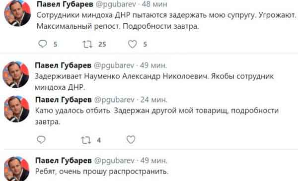 Губарев, жена, задержание, ДНР