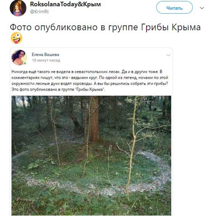 Крым, лес, грибы, загадочное фото, духи, хоровод