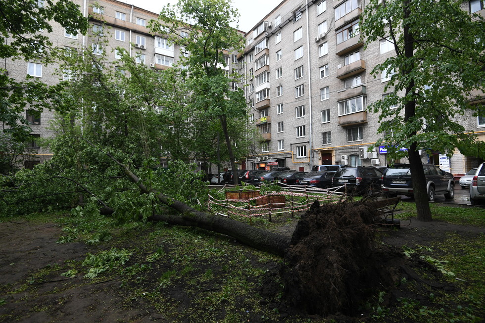 Москва, ураган, ветер, погибшие, москвичи, врачи, больницы