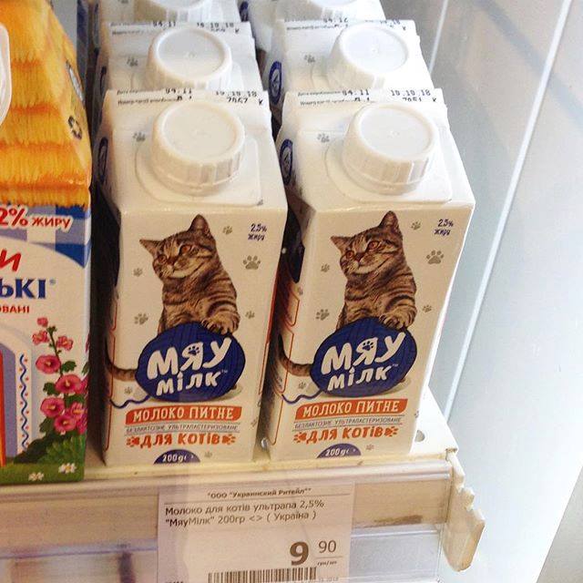 днепр, молоко, кот, молоко для котов, магазин, продажа
