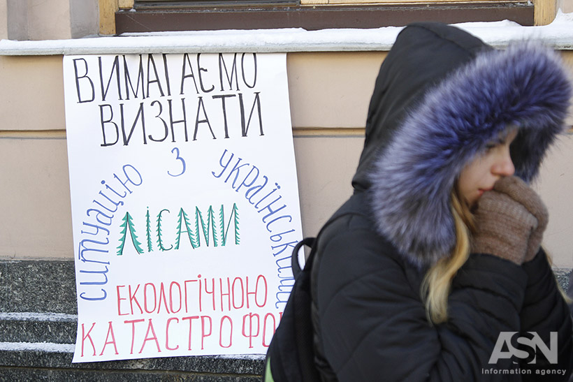 Киев. Зеленые. Протест против вырубки леса. Ноябрь 2016