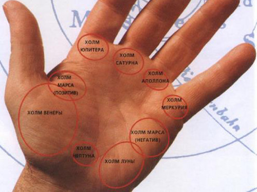 Холмы на руке в хиромантии: ваши таланты и способности
